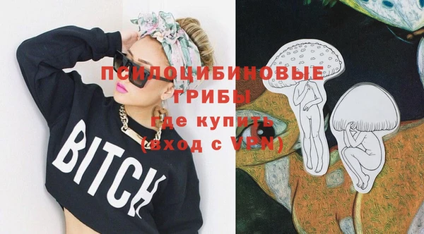 гашик Остров